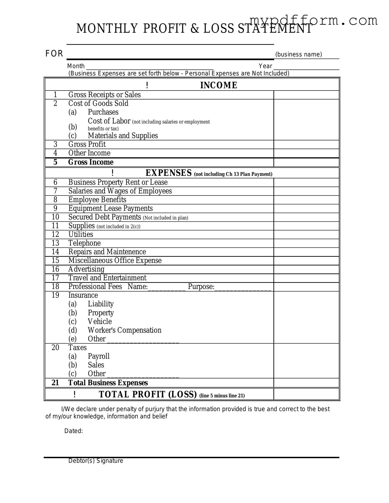 Fill in Your Profit And Loss Form
