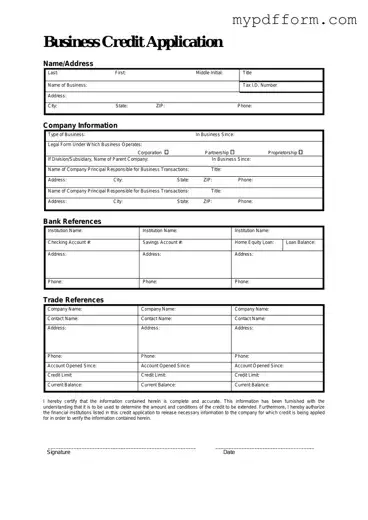 Fill in Your Business Credit Application Form