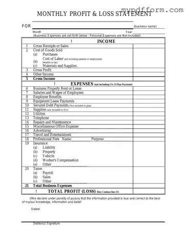 Fill in Your Profit And Loss Form